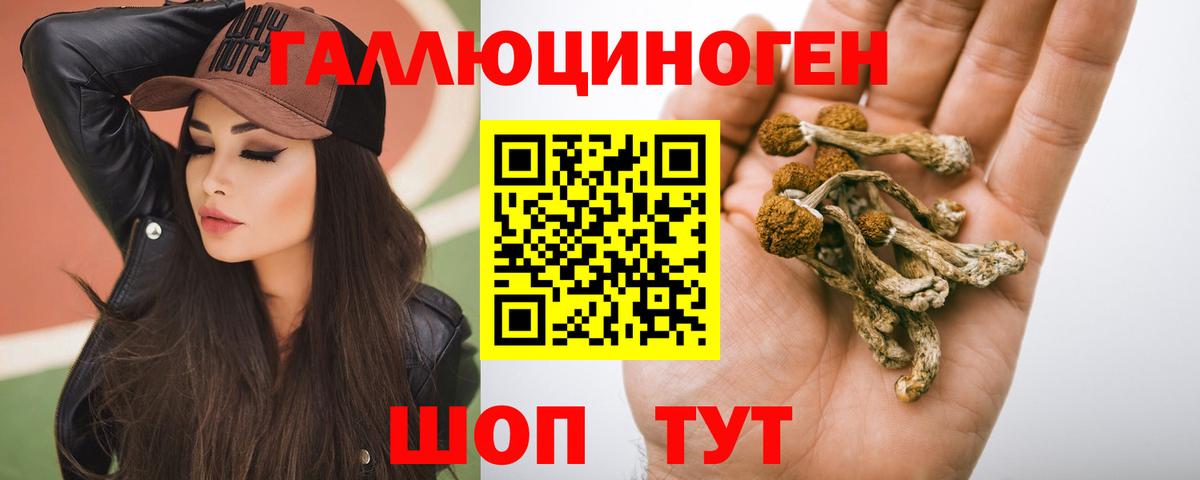 Отрадное  Галлюциногенные грибы прущие грибы  Вход с VPN 
